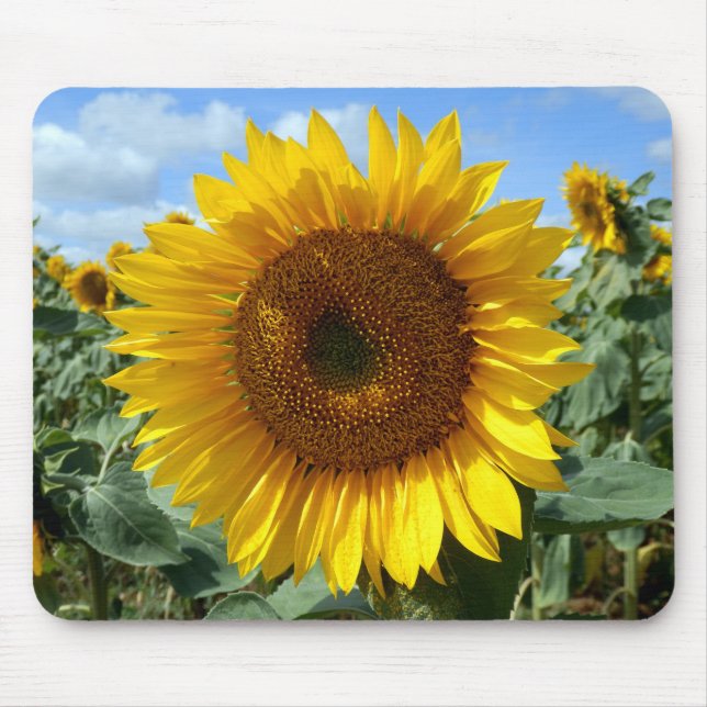 Sunflower Mouse Mat (Front)