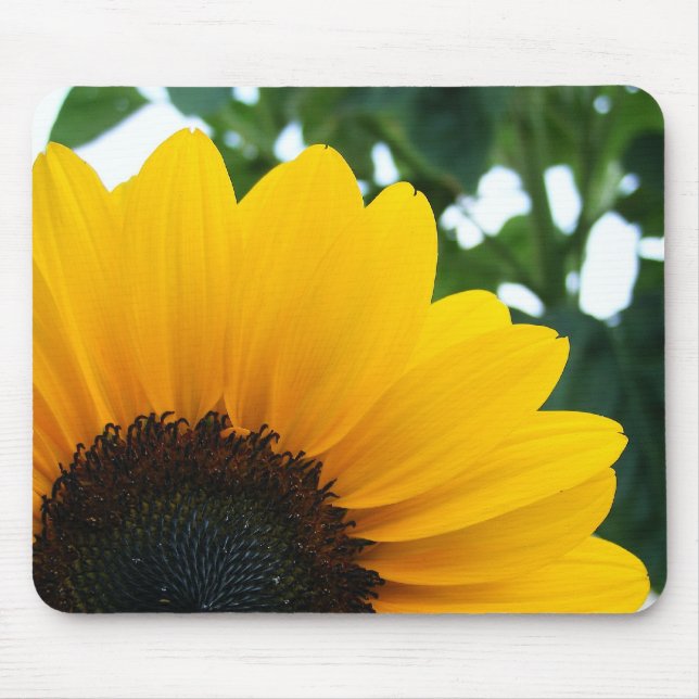 Sunflower Mouse Pad (Front)