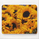 Sunflower Mouse Pad<br><div class="desc">A cheerful sunflower mouse pad.</div>
