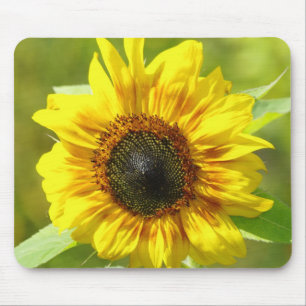 Sunflower Mouse Pad
