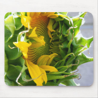 Sunflower Mouse Pad