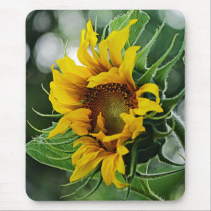 Sunflower Mouse Pad