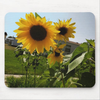 Sunflower Mousepad