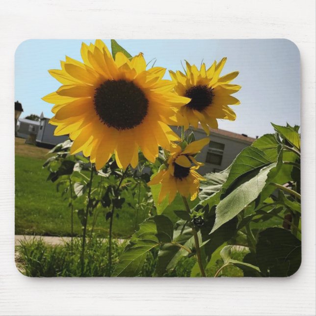 Sunflower Mousepad (Front)