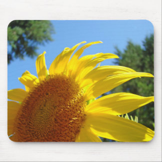 Sunflower mousepad Yellow mouse pad Sun Flowers