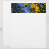 Sunflower N Sky Letterhead (Front/Back)