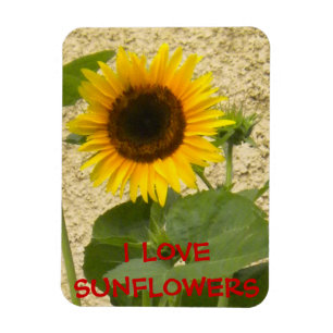 Sunflower N Stucco Fridge Magnet