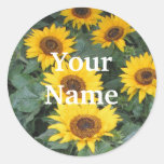 Sunflower Name Tags