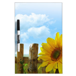 Sunflower Nature Beauty Dry-Erase Board