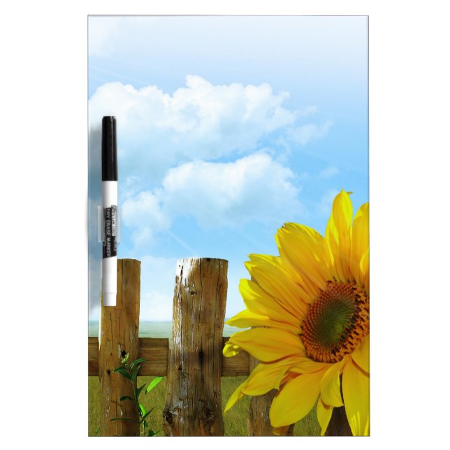 Sunflower Nature Beauty Dry-Erase Board (Front)