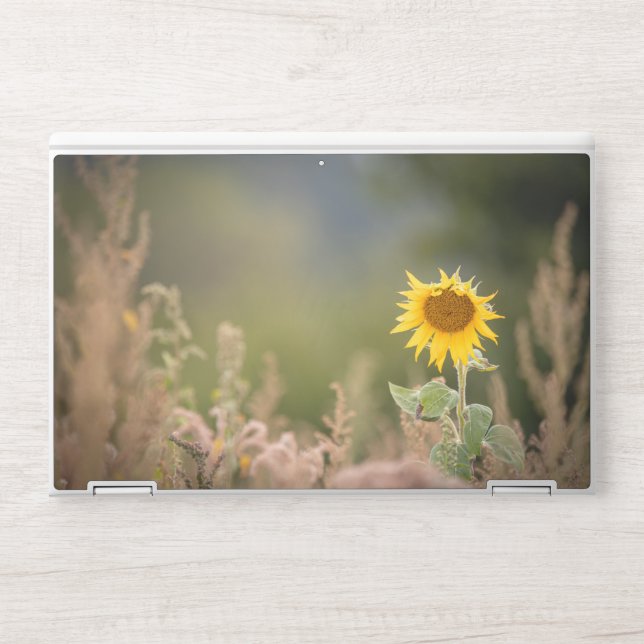 Sunflower Nature Photo HP Laptop Skin (Front)