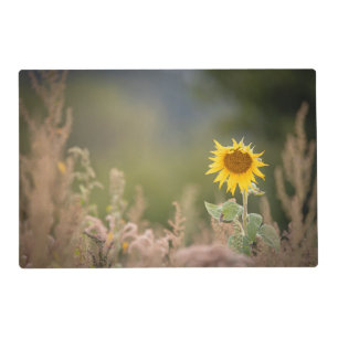 Sunflower Nature Photo Placemat