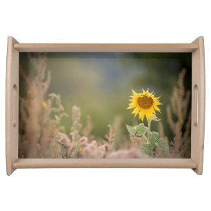 Sunflower Nature Photo Serving Tray