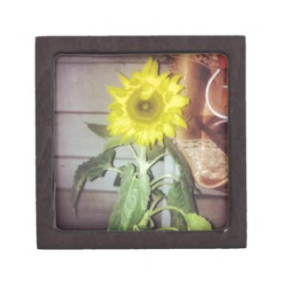 sunflower nine in the afternoon gift box