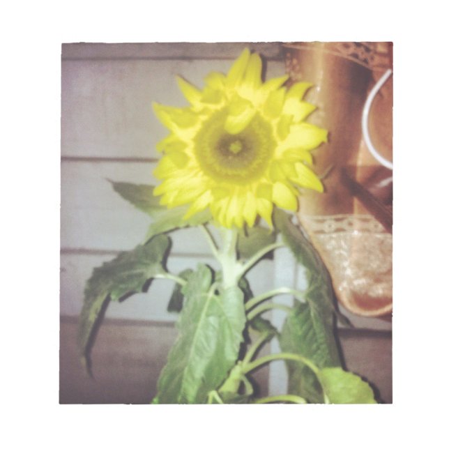 sunflower nine in the afternoon notepad (Front)