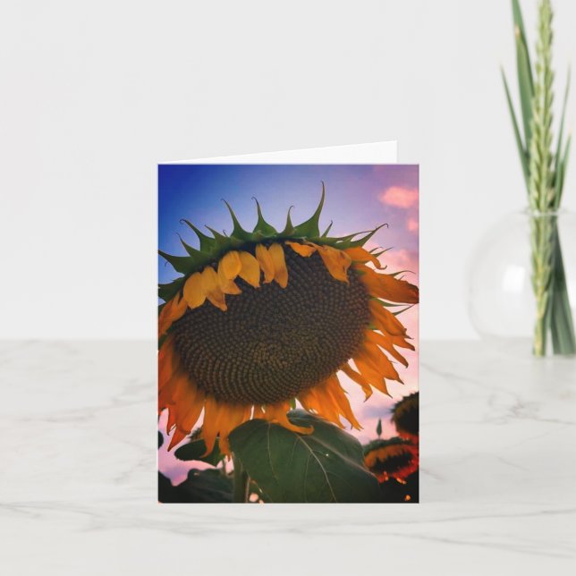 Sunflower Note Card (Front)