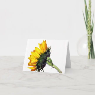 Sunflower Note Card