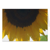 Sunflower Note Cards (Front Horizontal)