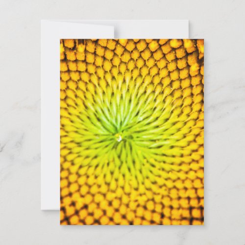 Sunflower Note Cards