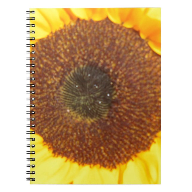 Sunflower Notebook (Front)