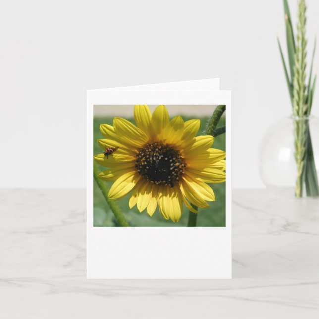 Sunflower notecard 2 (Front)