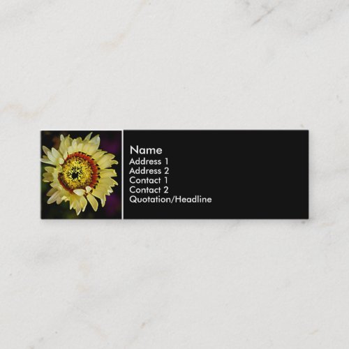 sunflower of a sort business card template