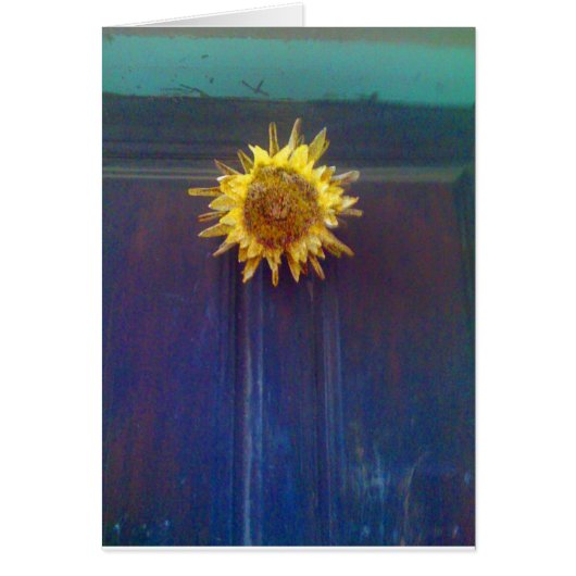 sunflower on a door (Front)