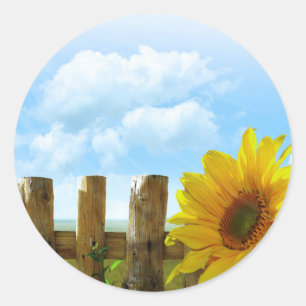 Sunflower on a Sunny Day Classic Round Sticker