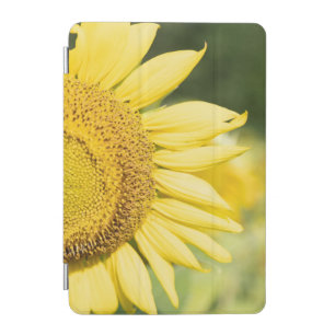Sunflower on a Sunny Day iPad Mini Cover