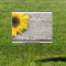 Sunflower on a Wooden Table