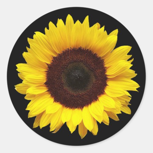 Sunflower on Black Round Gift Envelope Stickers