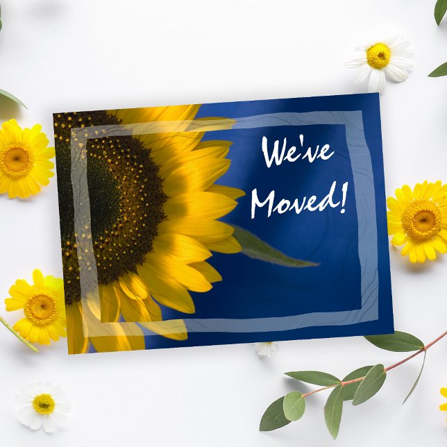 Sunflower on Blue Change of Address Announcement Postcard (Creator Uploaded)
