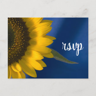 Sunflower on Blue Wedding RSVP Response Invitation Postcard