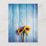 Sunflower on Blue Wood Wall Postcard