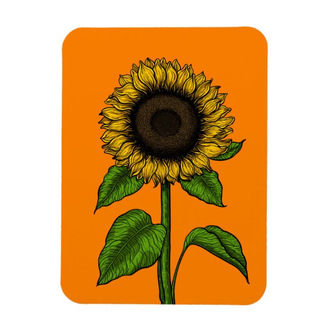 Sunflower on orange magnet (Vertical)