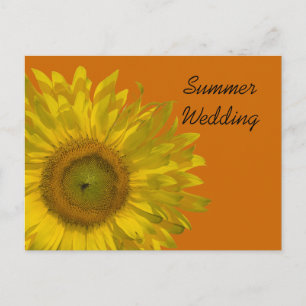 Sunflower on Orange Summer Wedding Announcement Postcard