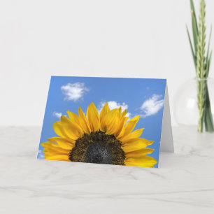 sunflower on summer sky card