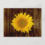 Sunflower on Vintage Barn Wood Country Postcard
