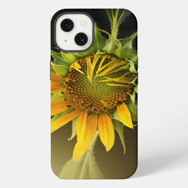 Sunflower Opening in Full Bloom Iphone Case (Back)