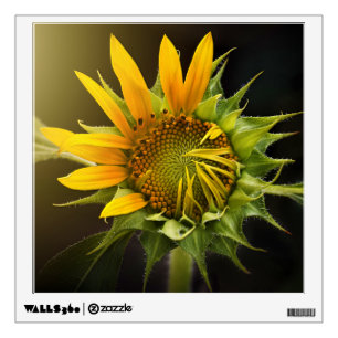 Sunflower Opening in Full Bloom Wall Decal