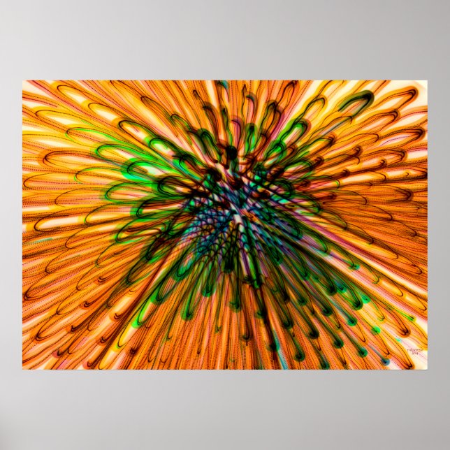 Sunflower organs poster (Front)