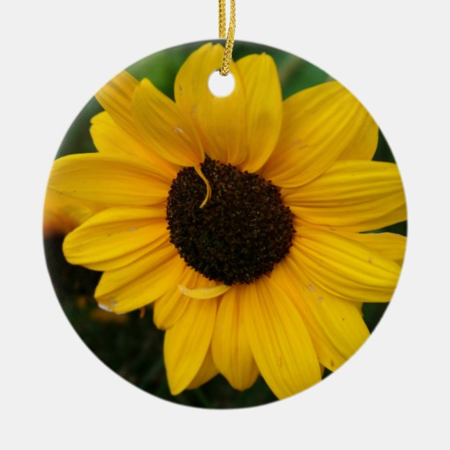 Sunflower Ornament (Front)