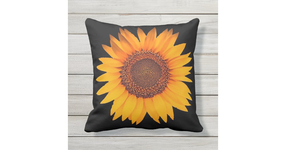 sunflower rainbow pillow