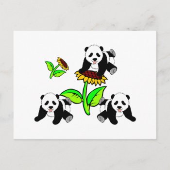 Sunflower Panda Bears Postcard by bonfireanimals at Zazzle