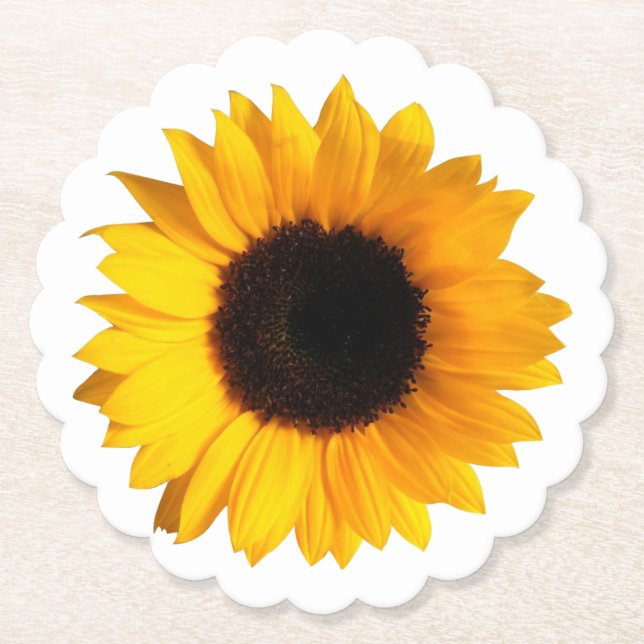 Sunflower Paper Coasters (Front)