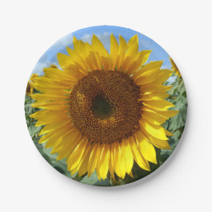 Sunflower Paper Plates