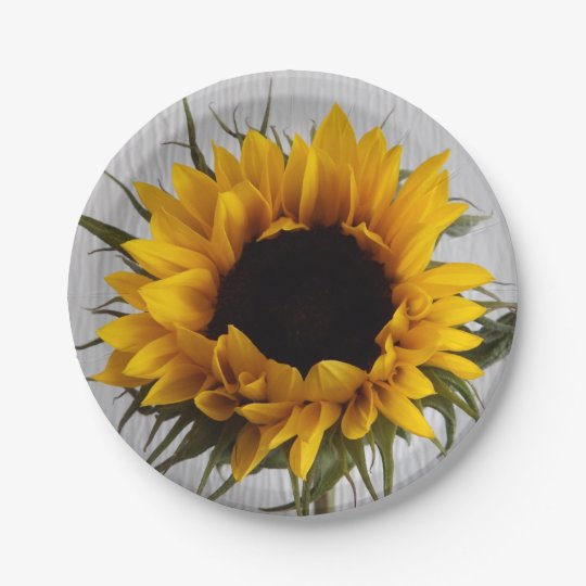 sunflower paper plates and napkins