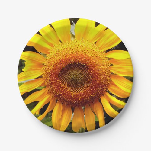 Sunflower Paper Plates