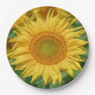 Sunflower Paper Plates