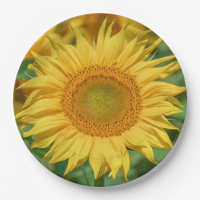 Sunflower Paper Plates (Front)